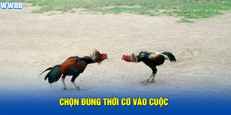 Chọn đúng thời cơ vào cuộc