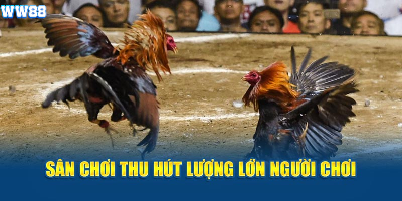 Trang web thu hút lượng lớn người quan tâm