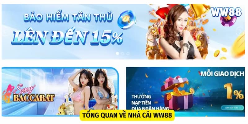 Giới thiệu WW88 một thương hiệu giải trí lý tưởng cho anh em